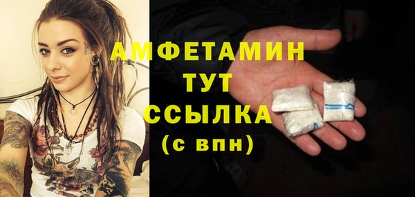 дурь Пестово