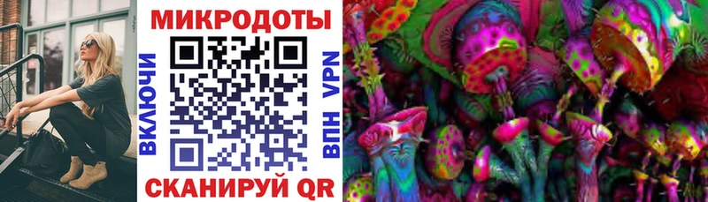 хочу наркоту  Суздаль  Псилоцибиновые грибы MAGIC MUSHROOMS 