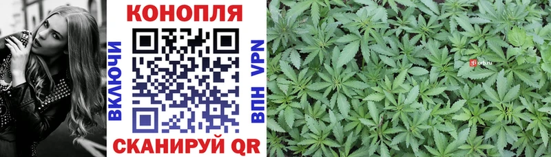 Канабис марихуана Суздаль